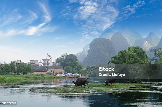 China Guilin Stock Photo - Download Image Now - Agricultural Field, Asia, Bamboo - Plant