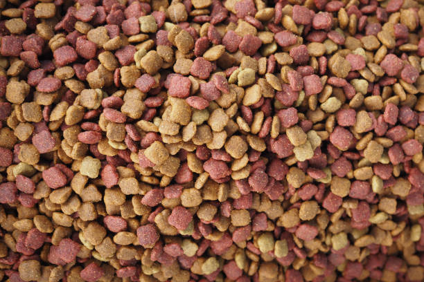 istock pet food in a bowl on black background top down. 1820793190