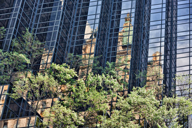 reflexos do crown building na trump tower fifth avenue manhattan nova york - trump tower - fotografias e filmes do acervo