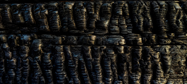 Charred black wooden wall made of planks. Abstract background with texture of burnt boards in close-up.