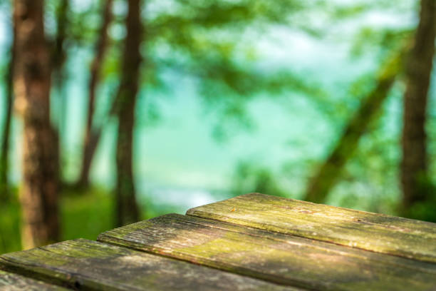 Empty wooden table top on of blurred blue lake background, sunlight, spring, copy space. High quality photo
