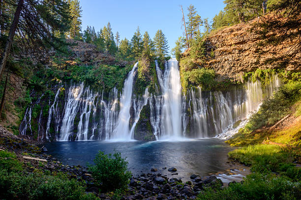 The beautiful cascading waters of Burney Falls MacArthur Burney Falls in California burney falls stock pictures, royalty-free photos & images