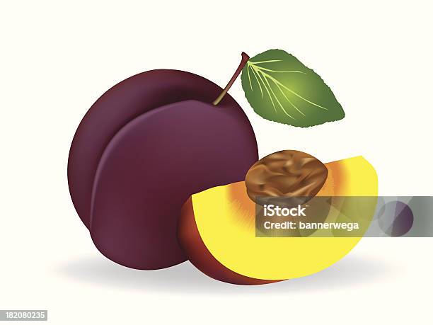 Ameixa - Arte vetorial de stock e mais imagens de Agricultura - Agricultura, Alimentação Saudável, Ameixa - Fruta