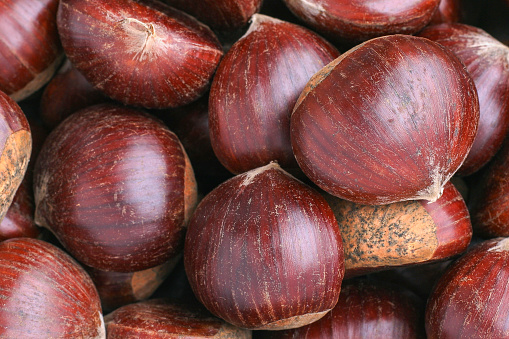 Ripe chestnuts close up. Sweet raw chestnuts. Husked chestnuts. Organic food. Food background. Healthy eating. Healthy lifestyle. Protein source. View from above. High quality photo