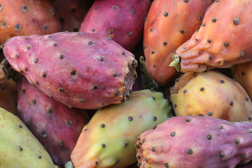 Prickly pear fruit close up, sunlight. Organic food. High quality photo