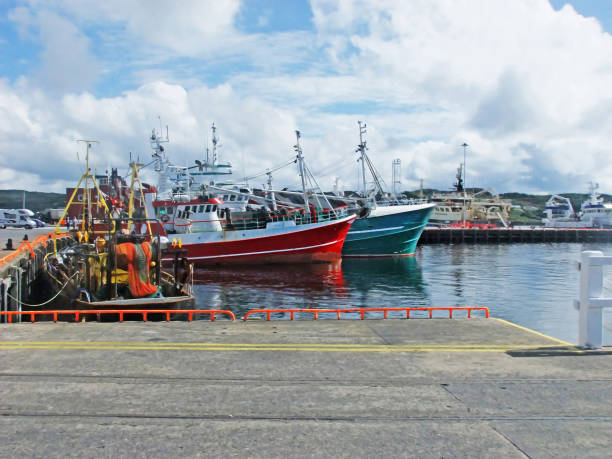 grandi pescherecci a strascico a killybegs harbour co., donegal, irlanda - pollock trawler foto e immagini stock