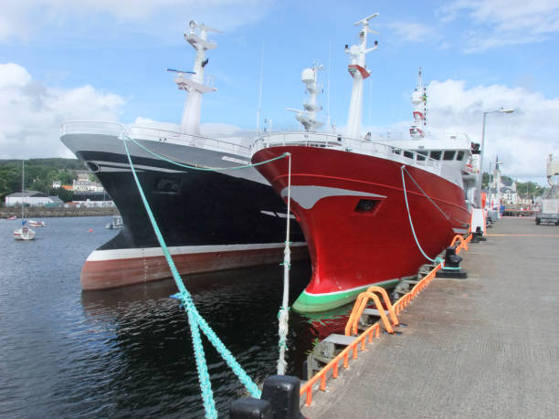 large fishing trawlers at killybegs harbour co. donegal ireland - pollock trawler foto e immagini stock