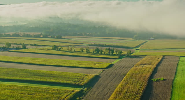 Drone Shot of Farmland Tilting Up to Reveal Bank of Fog