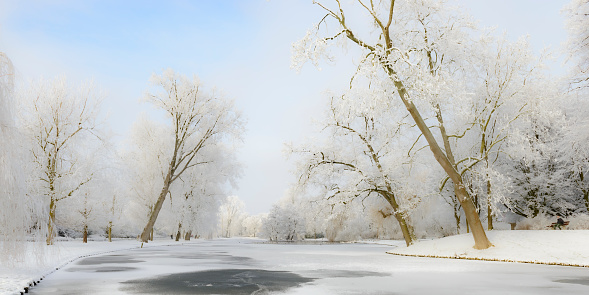 Snowy wintry landscape in the city park of Kampen, The Netherlands . The city park during a beautiful winter day with snow on the trees and plants. The park is just outside of the ancient city centre of Kampen, a Hanseatic League city.