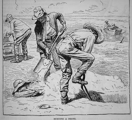 Engraving  from Harper's New Monthly Magazine Volume LXL June to November 1880:  As a prank,  two   men with cover a sleeping companion with sand up to his neck  as repayment for slacking off on a job on Long Island, New York