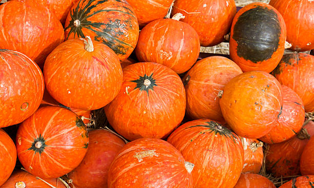 istock Pumpkins for sale 182085625