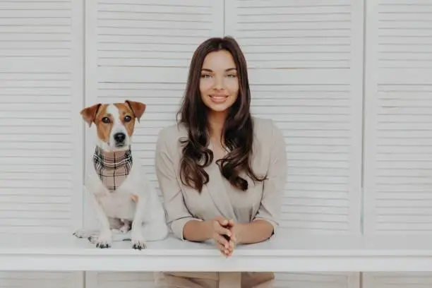 Photo of Stylish woman with a charming smile posing with her Jack Russell Terrier against a white wooden backdrop