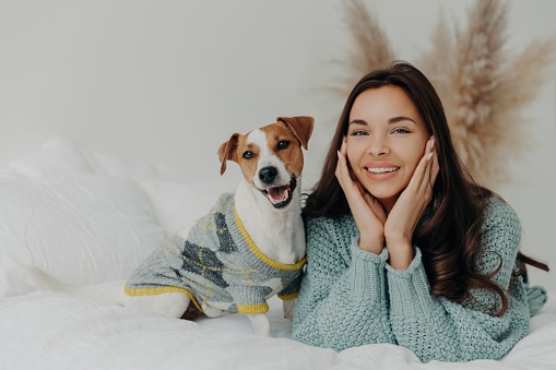 Joyful woman in a cozy sweater shares a warm moment with her playful Jack Russell Terrier on a bed