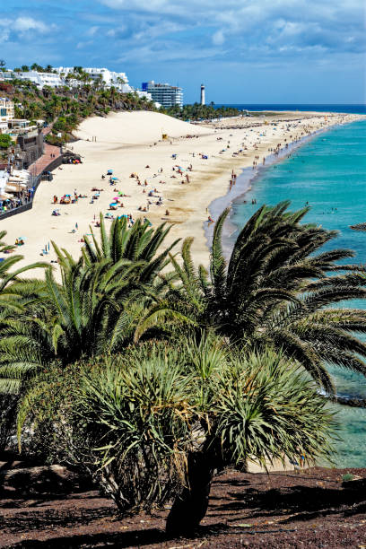 istock Beach in Morro Jable - Fuerteventura 1820862579