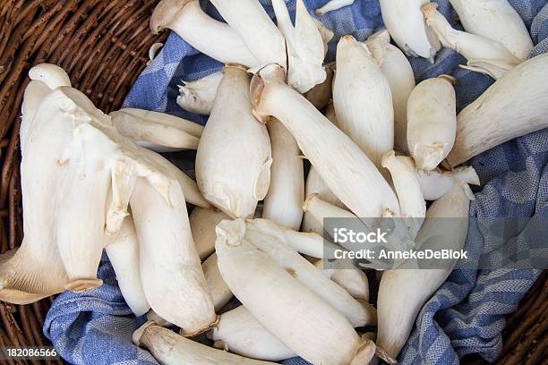 King Trumpet Mushroom Stock Photo - Download Image Now - Basket, Edible Mushroom, Freshness