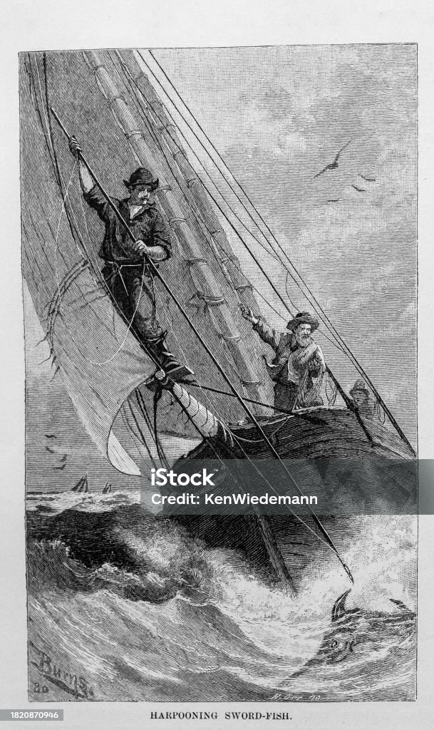 Harponing Harpooning Swordfish Stock Illustration - Download Image Now - Maine ...