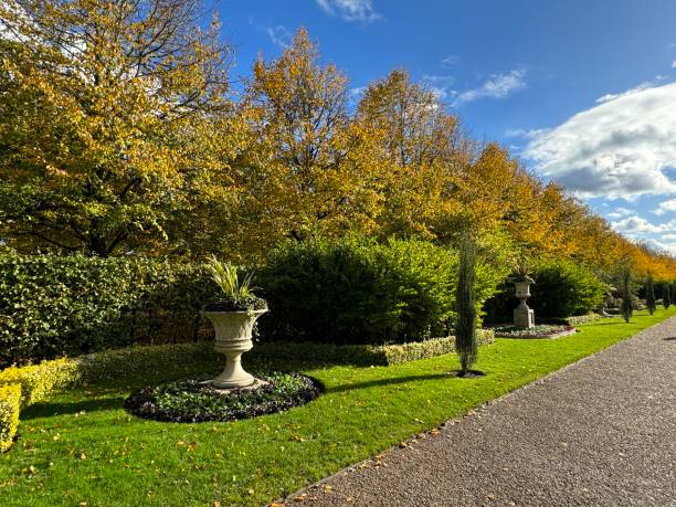 istock Regent's Park, London 1820886206
