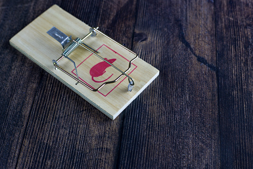 Charged mousetrap with a picture of a rodent lies on a dark wooden floor