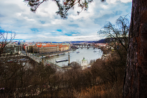 Aerial view on Vltava and Prague in  Christmas week   throughr forest - pin.e trees from the hill  Tourboats float in the water and the bridges include the Charles Bridge in the distance.