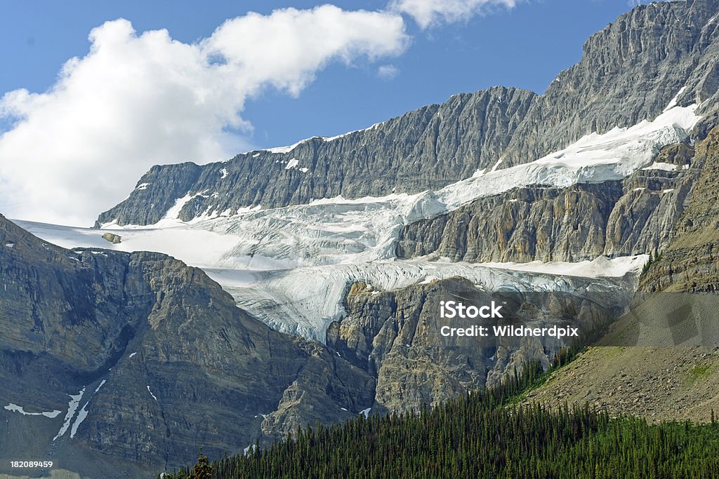 Alpine Glacier na Rocky Peaks - Zbiór zdjęć royalty-free (Alberta)