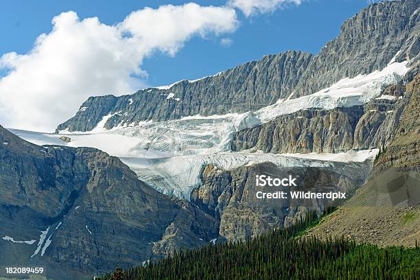 Alpine Glacier Na Rocky Peaks - zdjęcia stockowe i więcej obrazów Alberta - Alberta, Bez ludzi, Biały