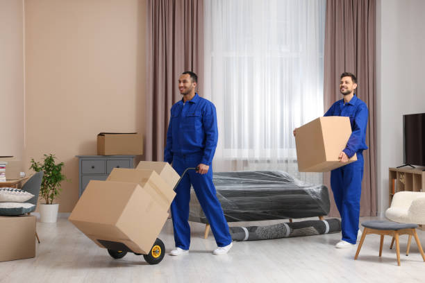 istock Male movers with cardboard boxes in new house 1820896442