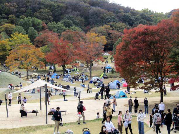 istock Japan. Nice sunny day in November. At the park. 1820907424