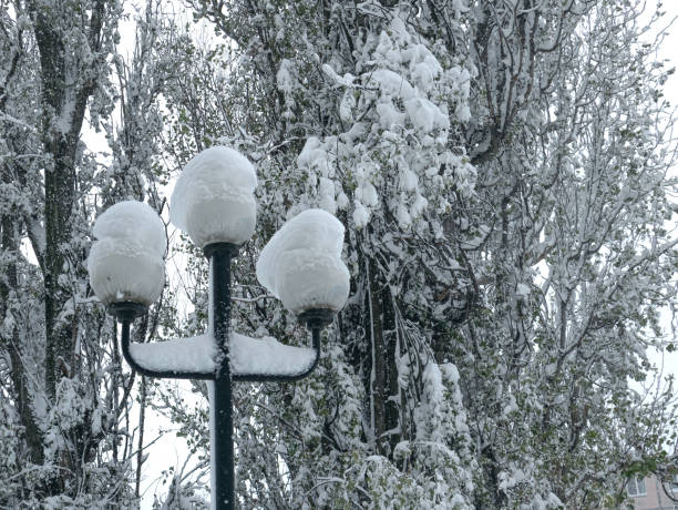 Free Stock Photo of Street lamp with snow against ivy background ...
