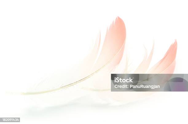 Photo libre de droit de Flamingo En Plumes banque d'images et plus d'images libres de droit de Abstrait - Abstrait, Aile d'animal, Blanc