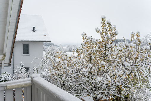 the first snow, a view of the house outside the garden, in the morning and everything in the snow