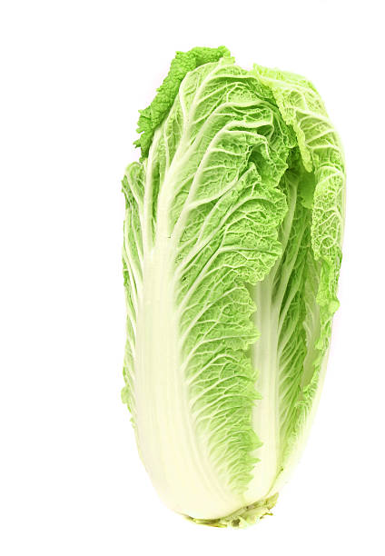 istock Tasty Chinese cabbage isolated on white 182093646