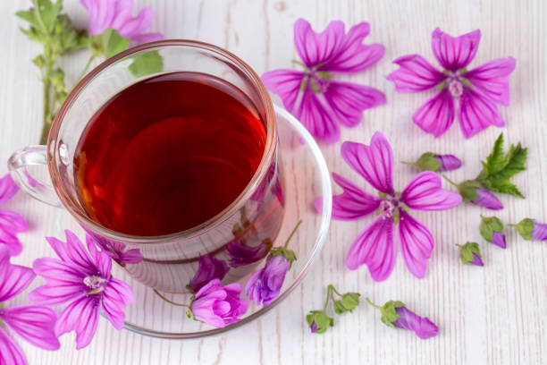 Mallow herb (Malva Vulgaris) mallow flower tea in cup. Mallow herb (Malva Vulgaris) mallow flower tea in cup. malva stock pictures, royalty-free photos & images