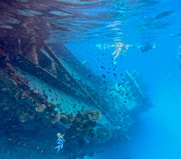 istock Boat wreck underwater - Maldives 1820957147