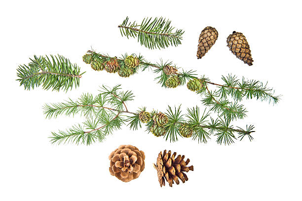 istock Set of Christmas ornament 182096150