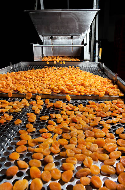 Metal factory machine processing dried apricots