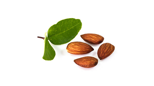istock almond seeds in white background with green leaf 182096439