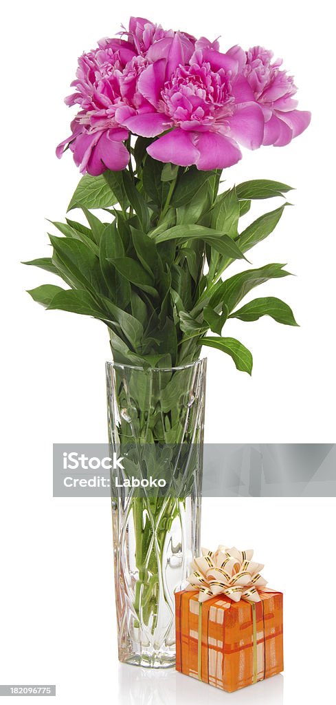Flores em vaso - Foto de stock de Aniversário royalty-free