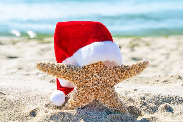 istock Christmas Starfish In Beach Sand 1820969393