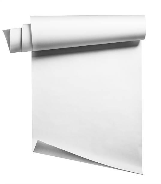 Blank white paper rolled up on a white background stock photo