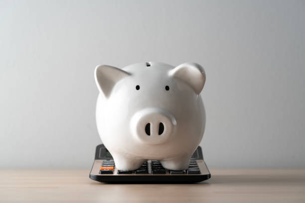 istock Piggy bank with calculator 1820986363