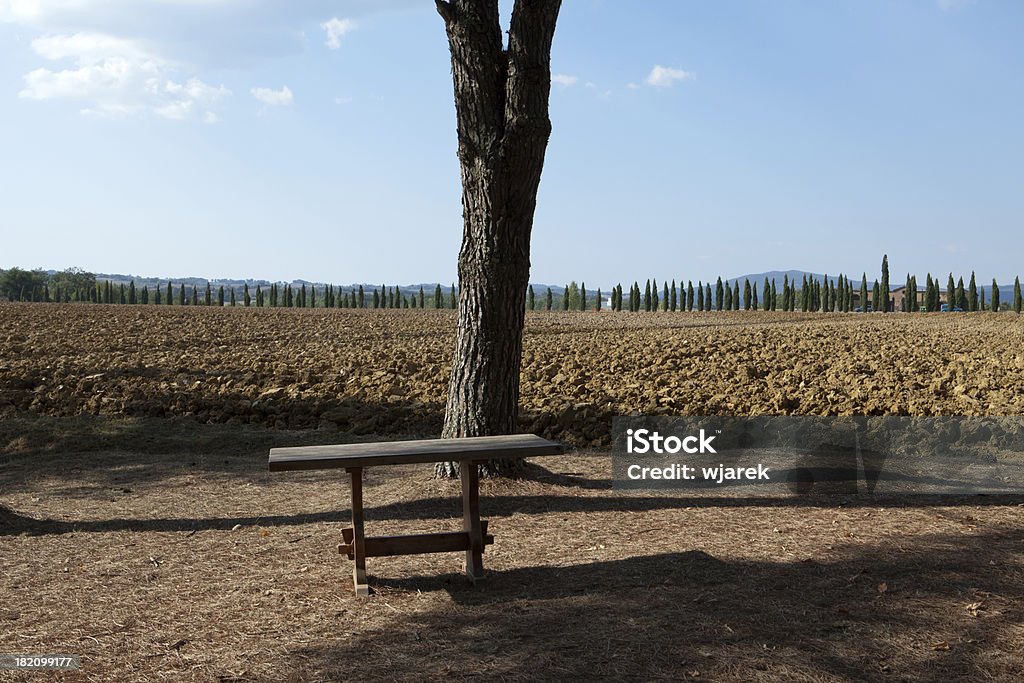 Paysage de la Toscane - Photo de Abbaye de San Galgano libre de droits