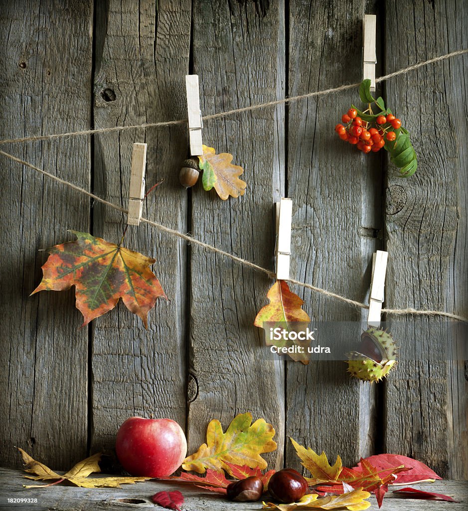 Autumn abstract with leaves on vintage boards Autumn abstract with leaves on vintage boards creative concept Abstract Stock Photo