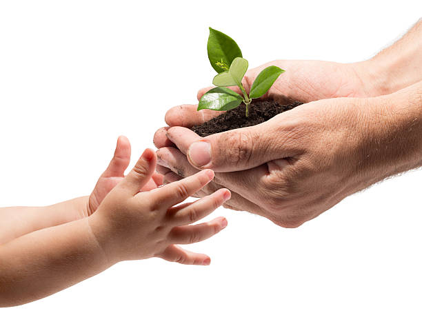 green life in your hands