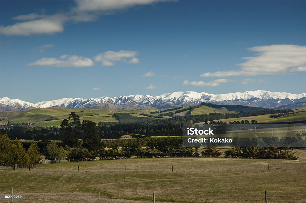 Escena Rural con snowcapped montaña, Canterbury Nueva Zelanda - Foto de stock de Agricultura libre de derechos