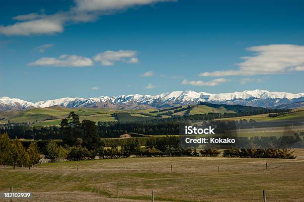 Escena Rural Con Snowcapped Montaña Canterbury Nueva Zelanda Foto de stock y más banco de imágenes de Agricultura