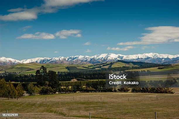 시골길 풍경과 함께 꼭대기가 눈으로 덮인 산맥 캔터베리 New Zealand 0명에 대한 스톡 사진 및 기타 이미지 - 0명, 겨울, 나무