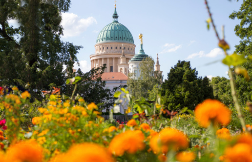 Dome and old town hall in Potsdam a flowered park