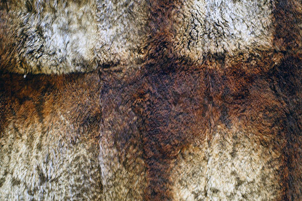 istock Beautiful fluffy fur texture close-up 182103039