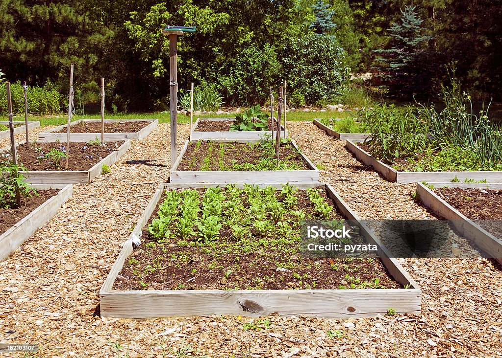 home garden home garden in hot summer day Agriculture Stock Photo