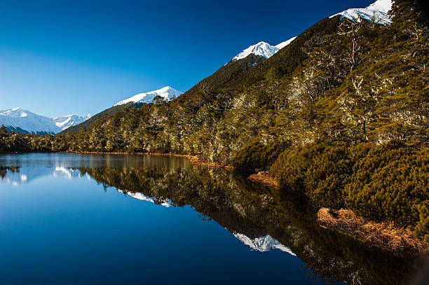 Mountain Tarn with reflections, Lewis Pass, New Zealand Mountain Tarn with reflections, Lewis Pass, North Canterbury, New Zealand high country stock pictures, royalty-free photos & images